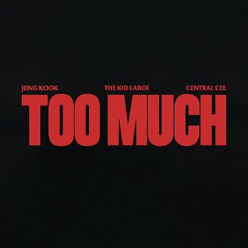TOO MUCH-cover