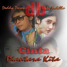 Cinta Diantara Kita-cover