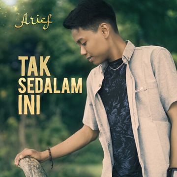 Tak Sedalam Ini (Akustik)-cover