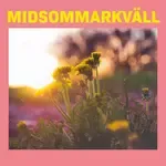 Hornstullsstrand-cover