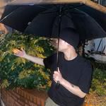 Rainy day-cover