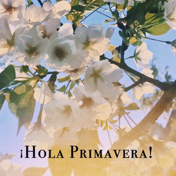 Ella ya me olvido-cover