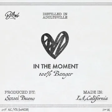 In The Moment-cover