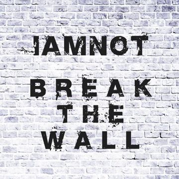 Break The Wall-cover