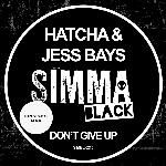 Don&039;t Give Up (DJ Sneak Remix)-cover