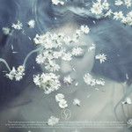 Like A Flower-cover