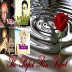 The Perfect Rose-cover