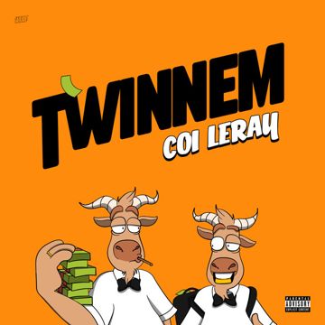 TWINNEM-cover