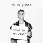 What Do You Mean?-cover