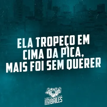 Ela Tropeço em Cima da Pica, Mais Foi Sem Querer-cover