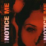Notice Me-cover