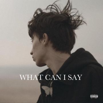 WHAT CAN I SAY-cover