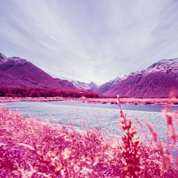 coveImg