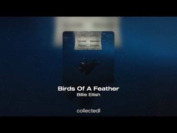 Birds of a feather -cover
