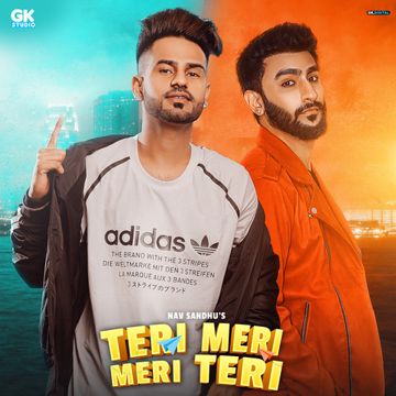 nav-sandhu-teri-meri-meri-teri-cover-image