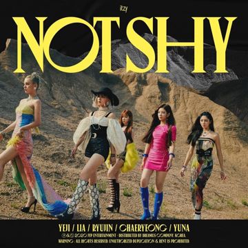Not Shy (Inst.)-cover