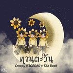 จ้องตา-cover