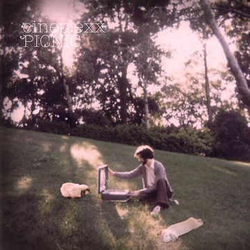 Picnic-cover