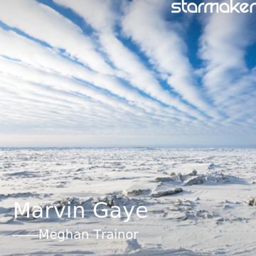 Marvin Gaye-cover