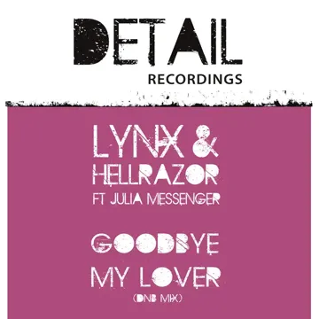 Goodbye Lover (DNB Mix)-cover
