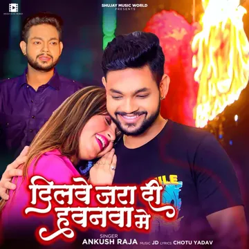Dilwe Jara Di Hawanwa Me-cover