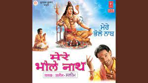 Mere Shankra Bholenath-cover