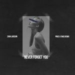 Never Forget You(Price & Takis Remix)(Remix)