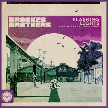 Flashing Lights-cover