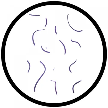 Roll Play (Extended Mix)