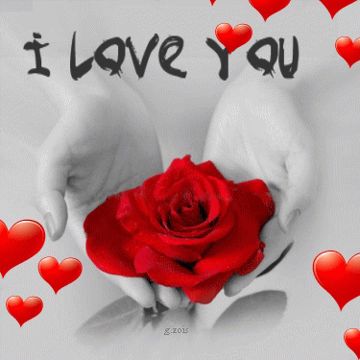 ခ်စ္ေနၿပီ