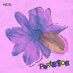 Perfection-cover