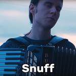 Snuff(Acoustic)-cover
