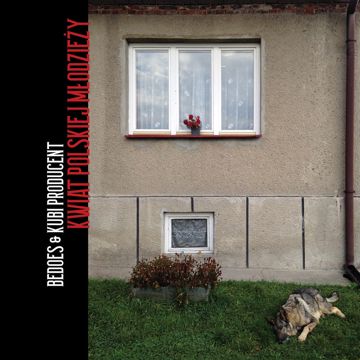 Janosik-cover