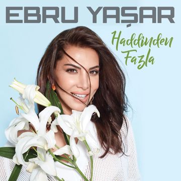 Ben ne yangınlar gördüm-cover
