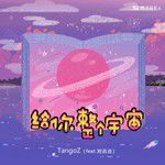 給你整個宇宙-cover