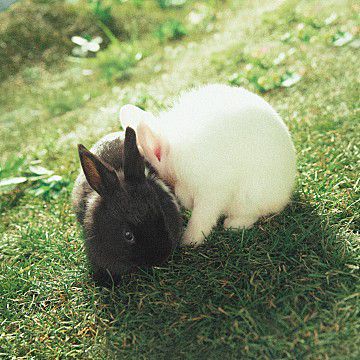 지코zico-shes-a-baby-cover-image