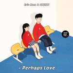Perhaps Love-cover