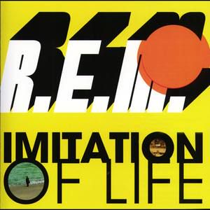 Imitation Of Life-cover