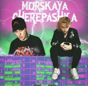 Морская черепашка-cover