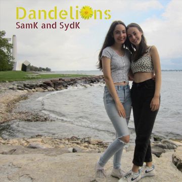 Dandelions-cover