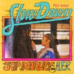 Slow Down(P2J Remix)(Remix)-cover