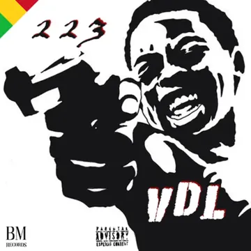 VDL-cover