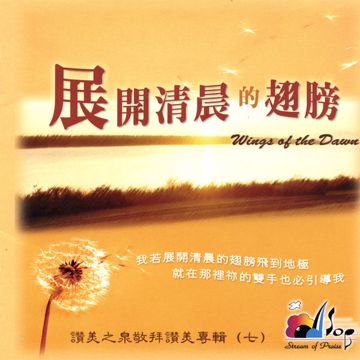 翅膀-cover
