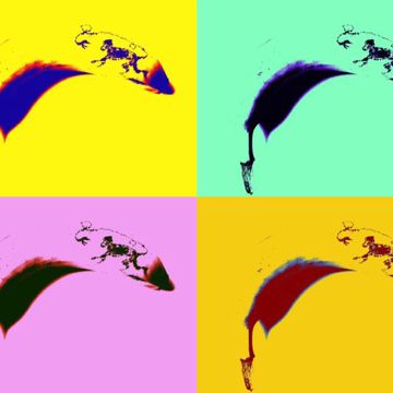 la-pozze-latina-chica-elctrica-modificada-cover-image