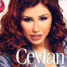Görmüşem Sevmişem-cover
