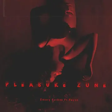 The Pleasure Zone (Radio Edit)-cover