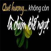 Quê Hương Là Chùm Khế Ngọt-cover