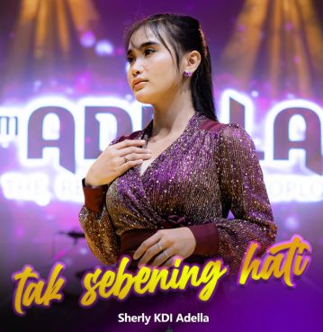 TAK SEBENING HATI