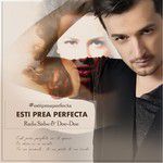 Esti Prea Perfecta(feat. Dee-Dee)-cover