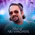 Thora Mazhayilum-cover